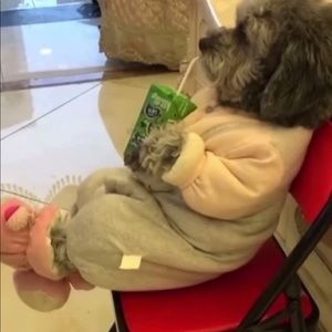 Meet your Posher, Ty